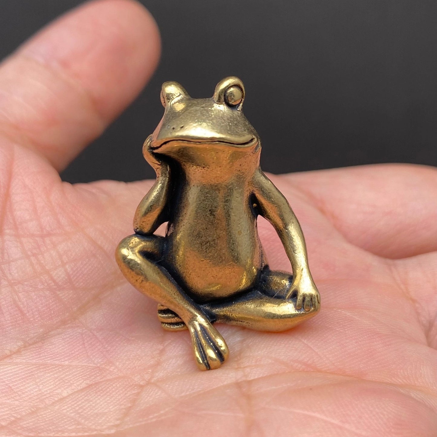 The Contented One -Brass Sitting Frog