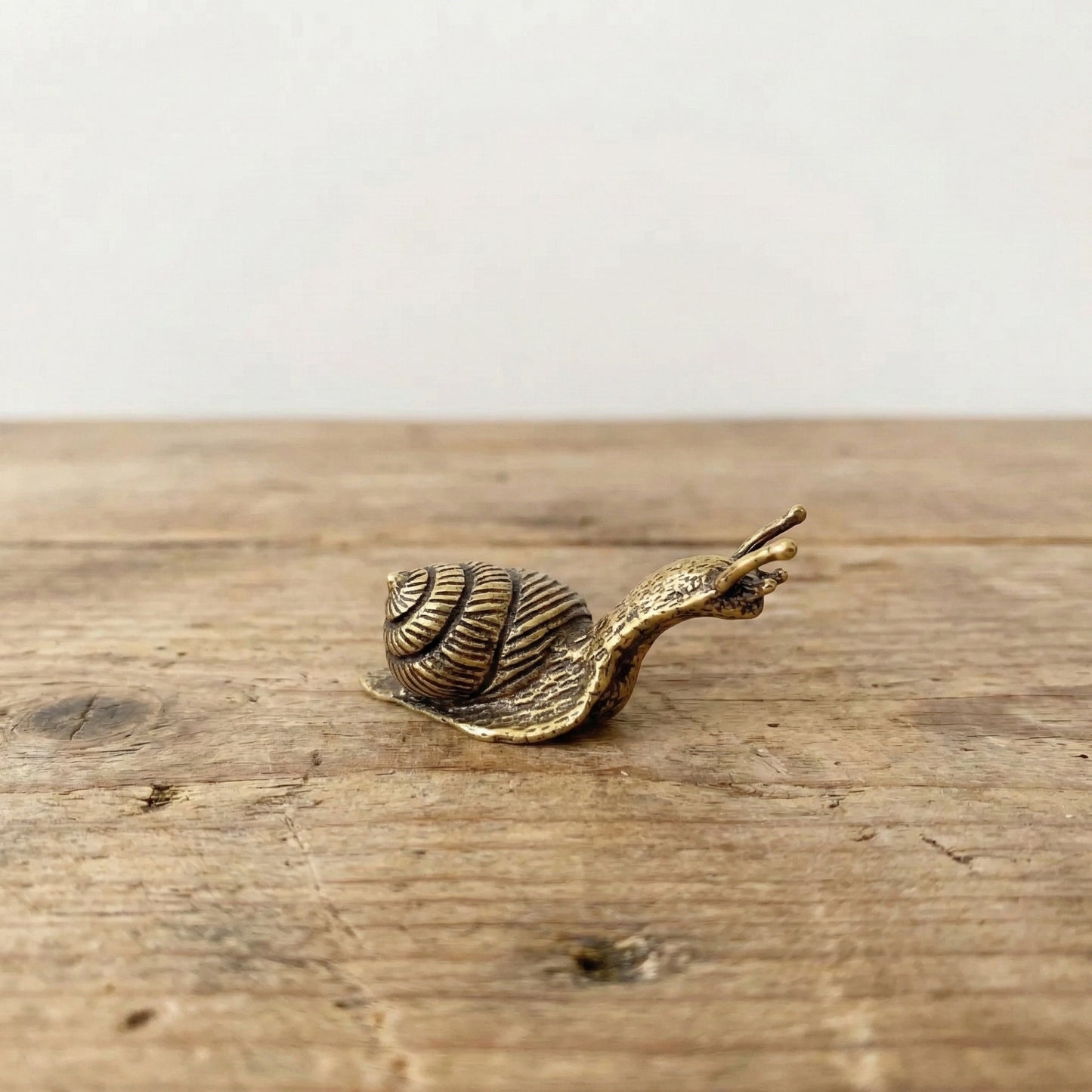 The Slow Promise - Brass Snail Object