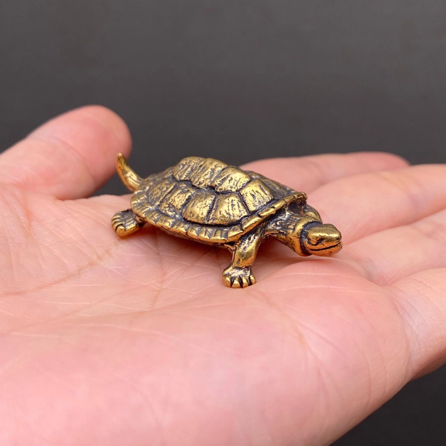 The Enduring Wayfarer miniature brass turtle held in hand to show scale, with detailed shell pattern and warm aged patina, from the WILLAGE Tiny Objects collection