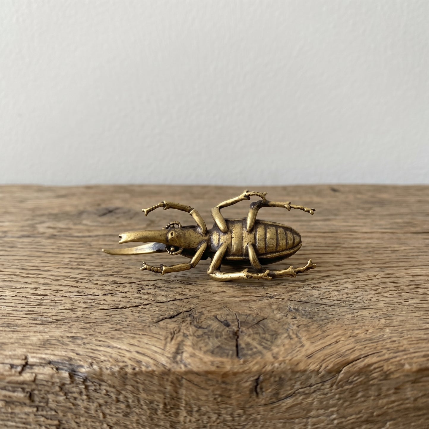 Side view of The Powerhouse brass rhinoceros beetle showing the curved horn and detailed legs, antique patina