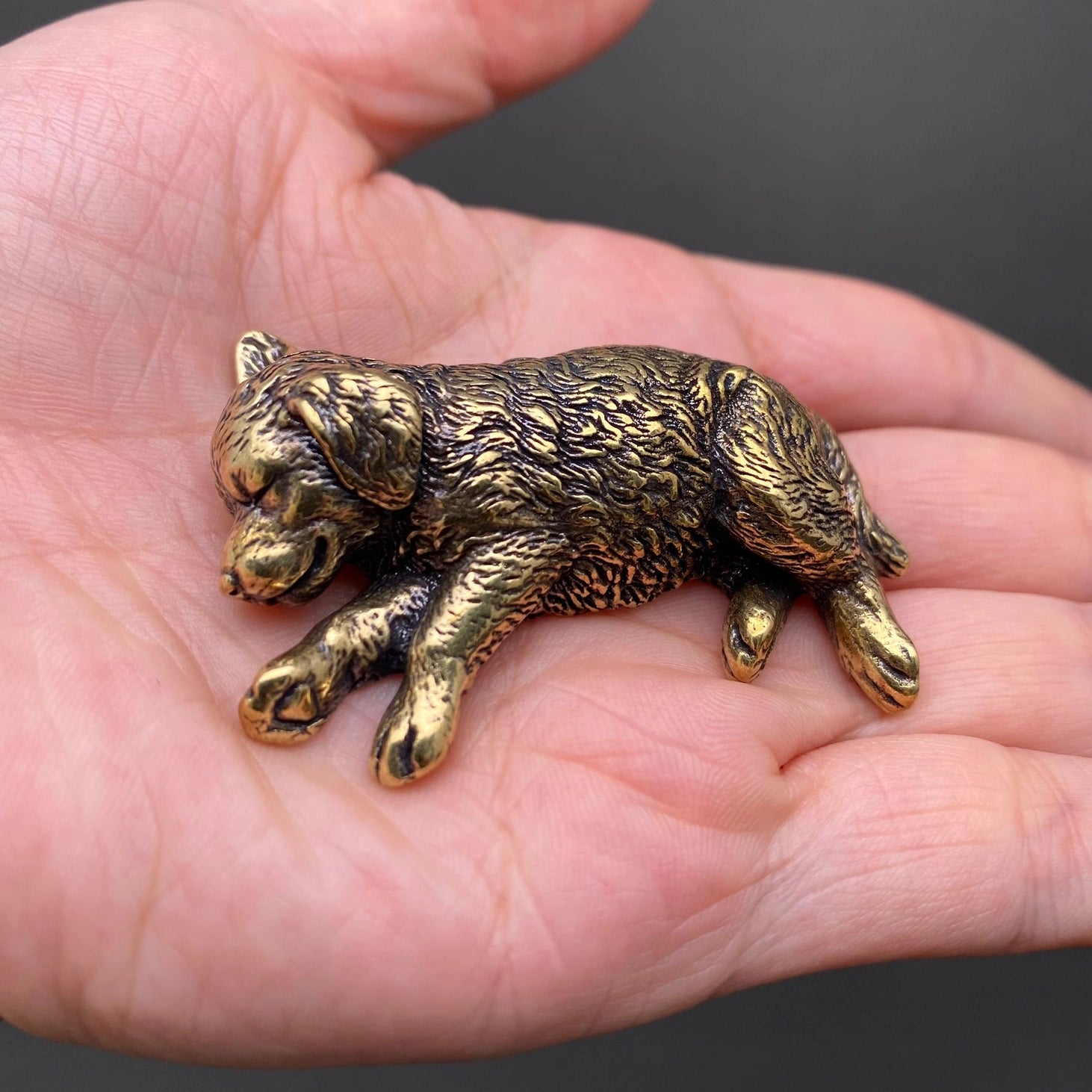 The Slumbering Companion: Miniature Brass Golden Retriever Object