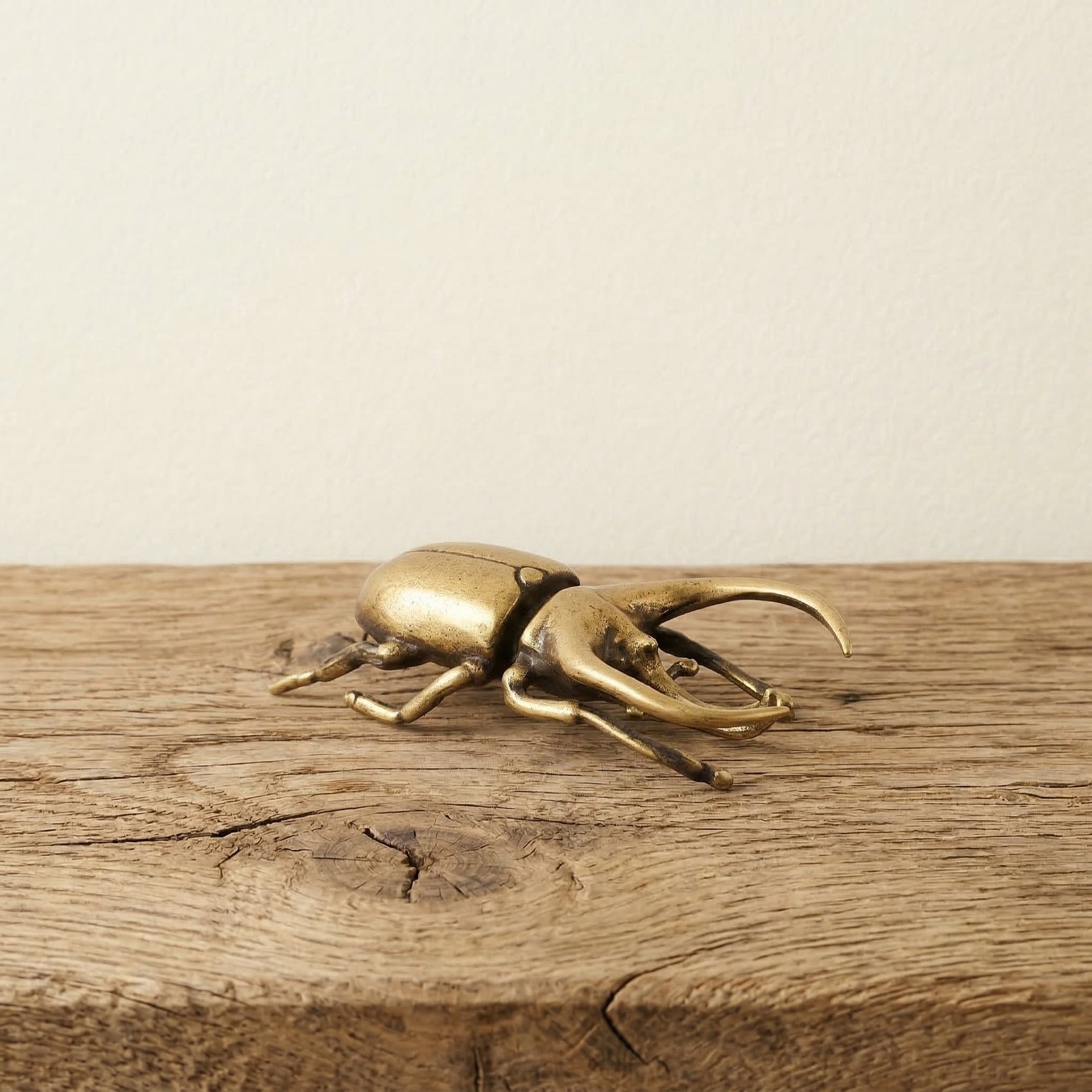 The Armored Titan: Miniature Brass Rhinoceros Beetle Object