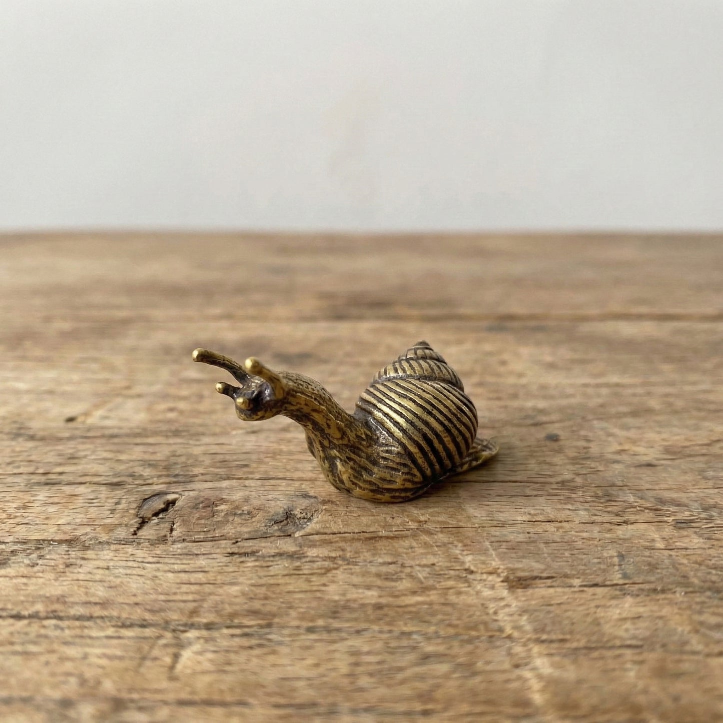 The Slow Promise - Brass Snail Object