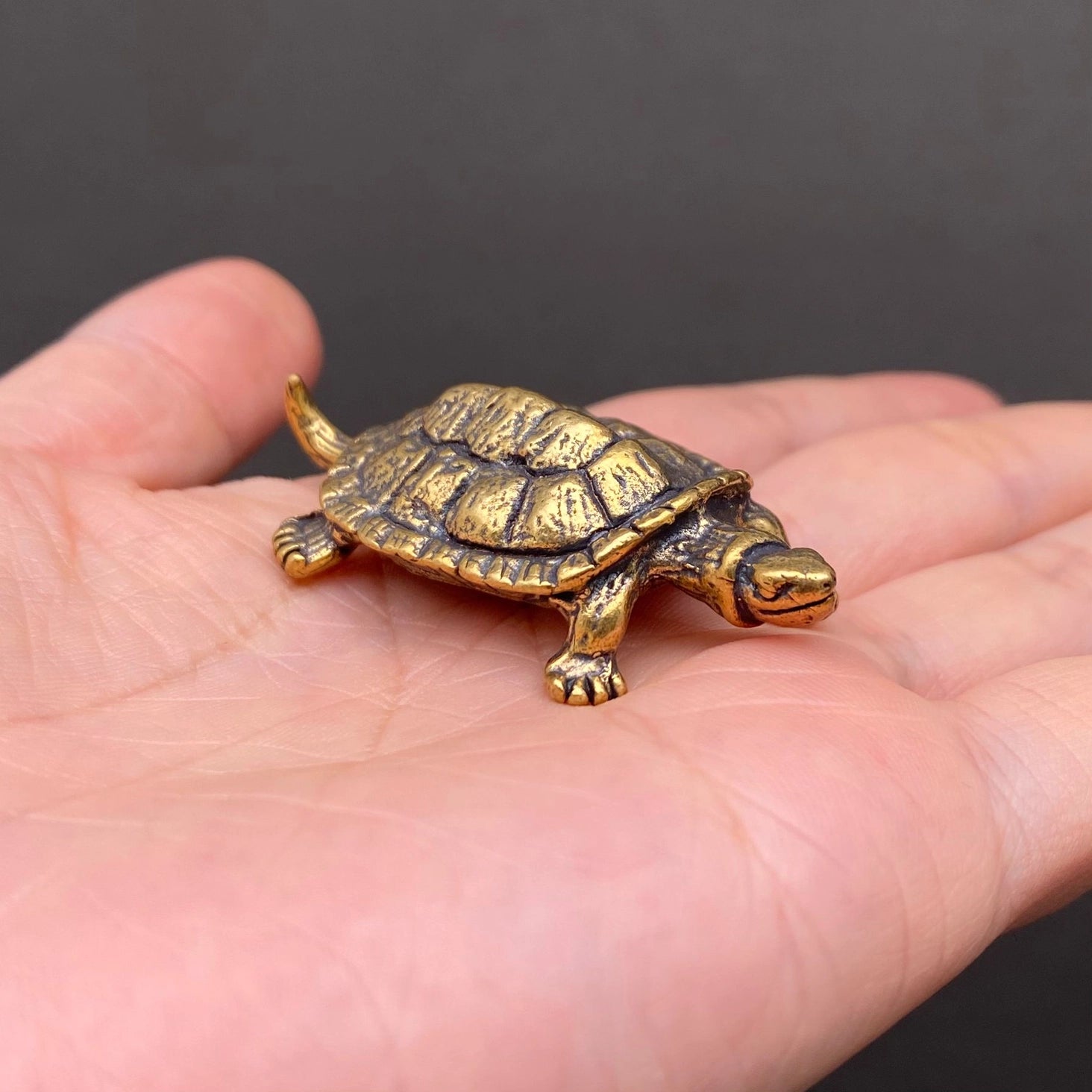 The Enduring Wayfarer miniature brass turtle held in hand to show scale, with detailed shell pattern and warm aged patina, from the WILLAGE Tiny Objects collection
