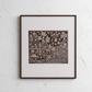 Framed artwork with a detailed design on a textured white wall