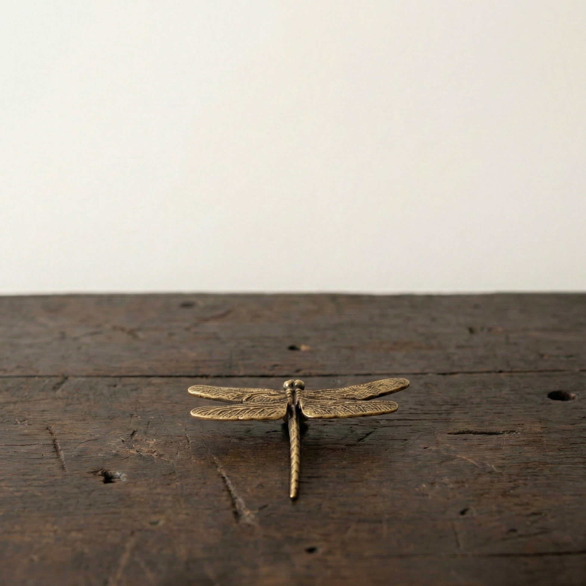 Close-up of The Dragonfly brass figurine showing wing vein detail and hand-cast texture
