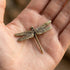 The Dragonfly miniature brass dragonfly figurine with wings spread showing detailed vein pattern, solid brass with aged patina, from WILLAGE Tiny Objects collection