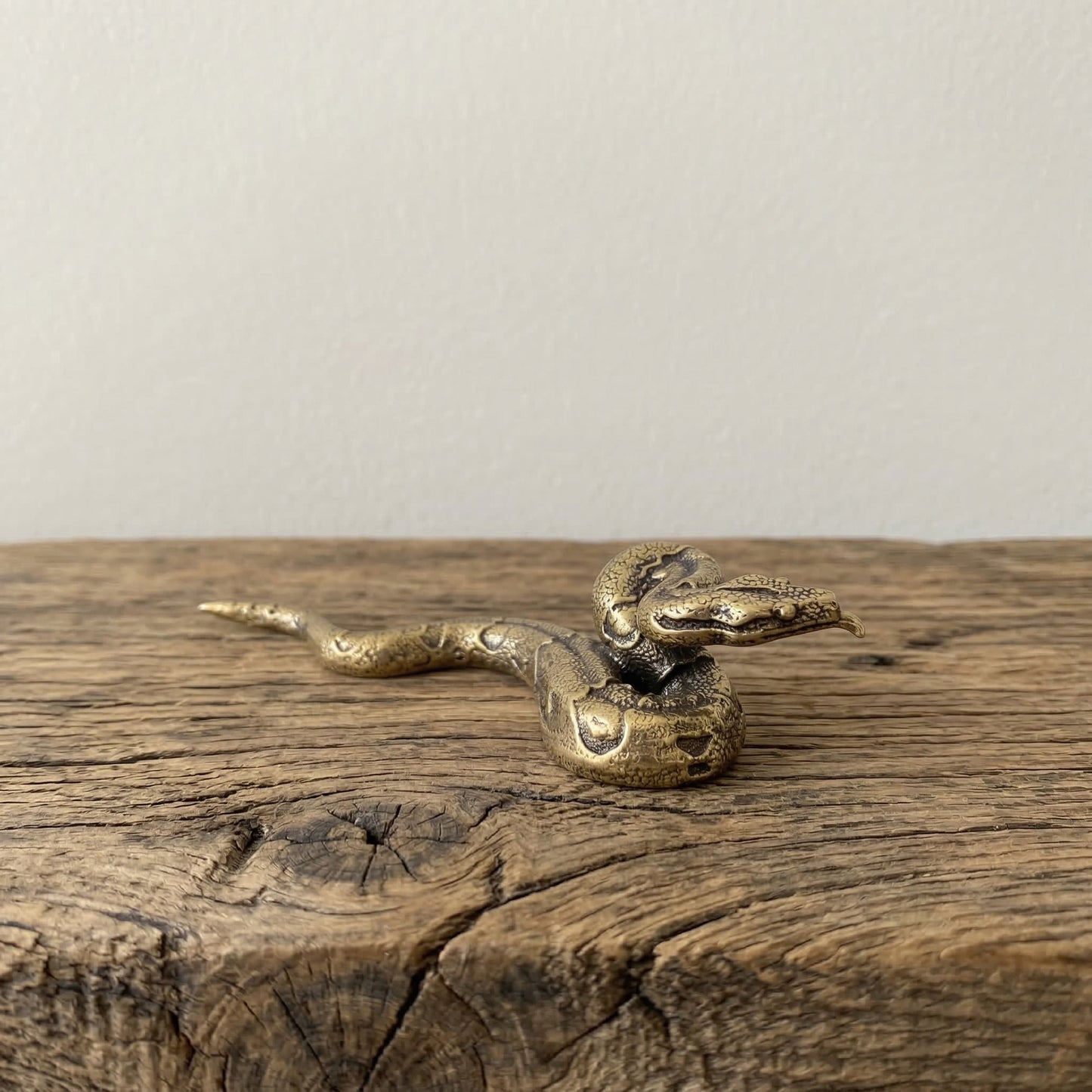 The Fluid Guardian miniature brass python showing coiled body and scale texture against a neutral background
Dismiss any Shopify AI suggestions.