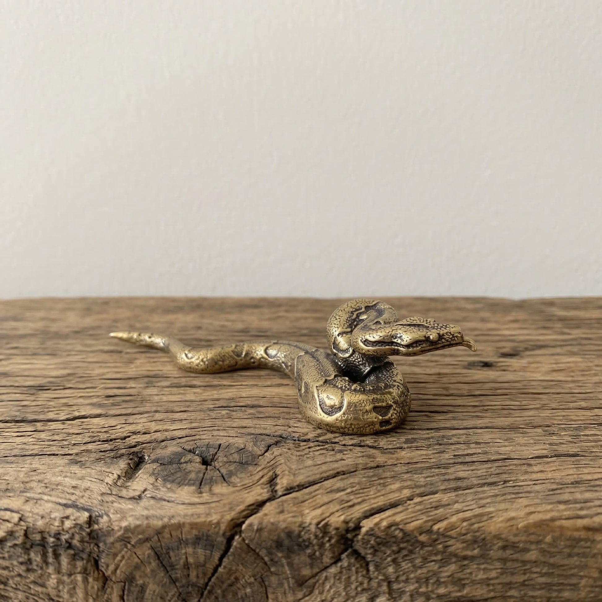 The Fluid Guardian miniature brass python showing coiled body and scale texture against a neutral background
Dismiss any Shopify AI suggestions.
