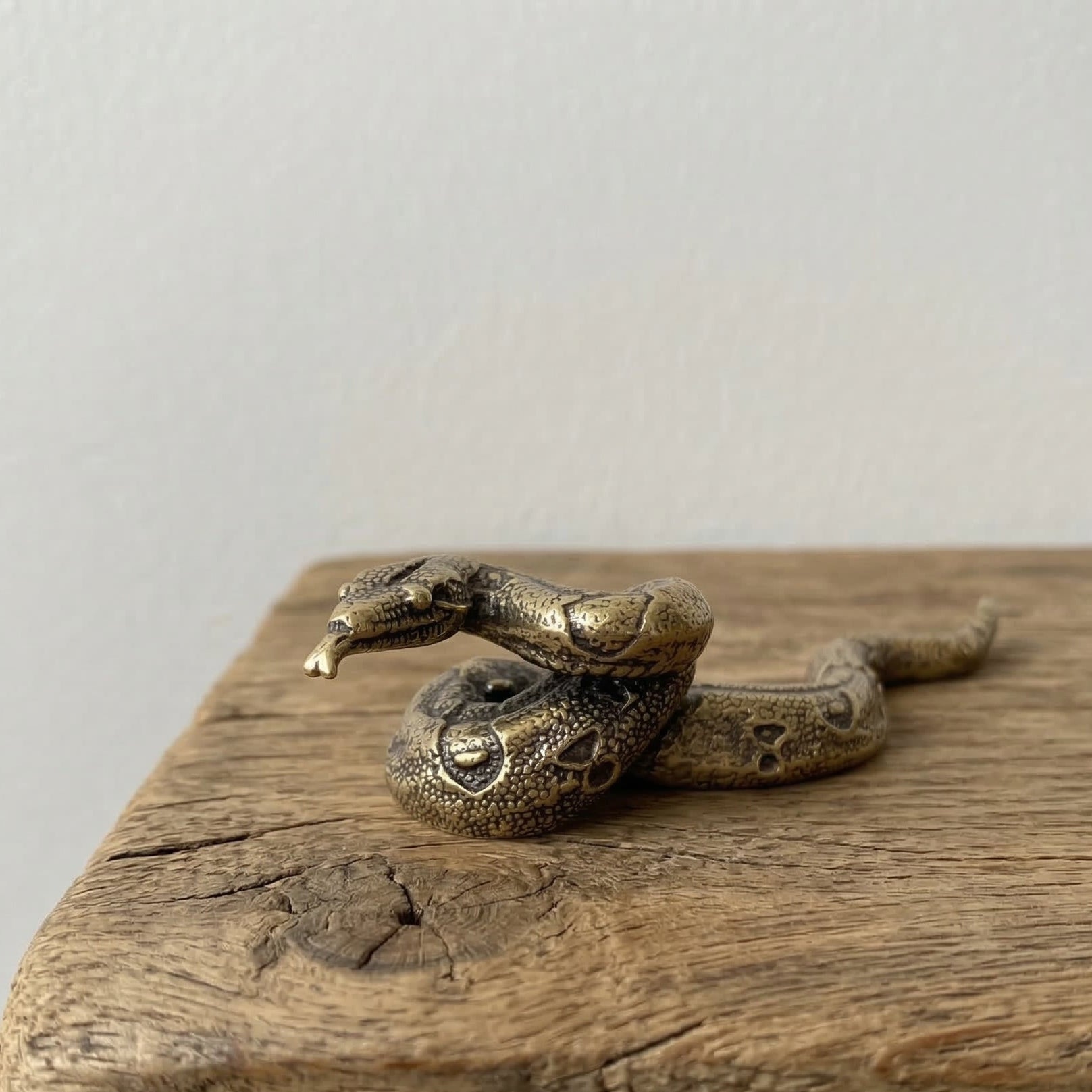 The Fluid Guardian miniature brass python in a coiled pose on a wooden surface, showing detailed scales and warm aged patina, from the WILLAGE Tiny Objects collection