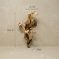 The Forest Pulse hand-carved mushroom wall art from a side angle showing depth and natural wood grain variations