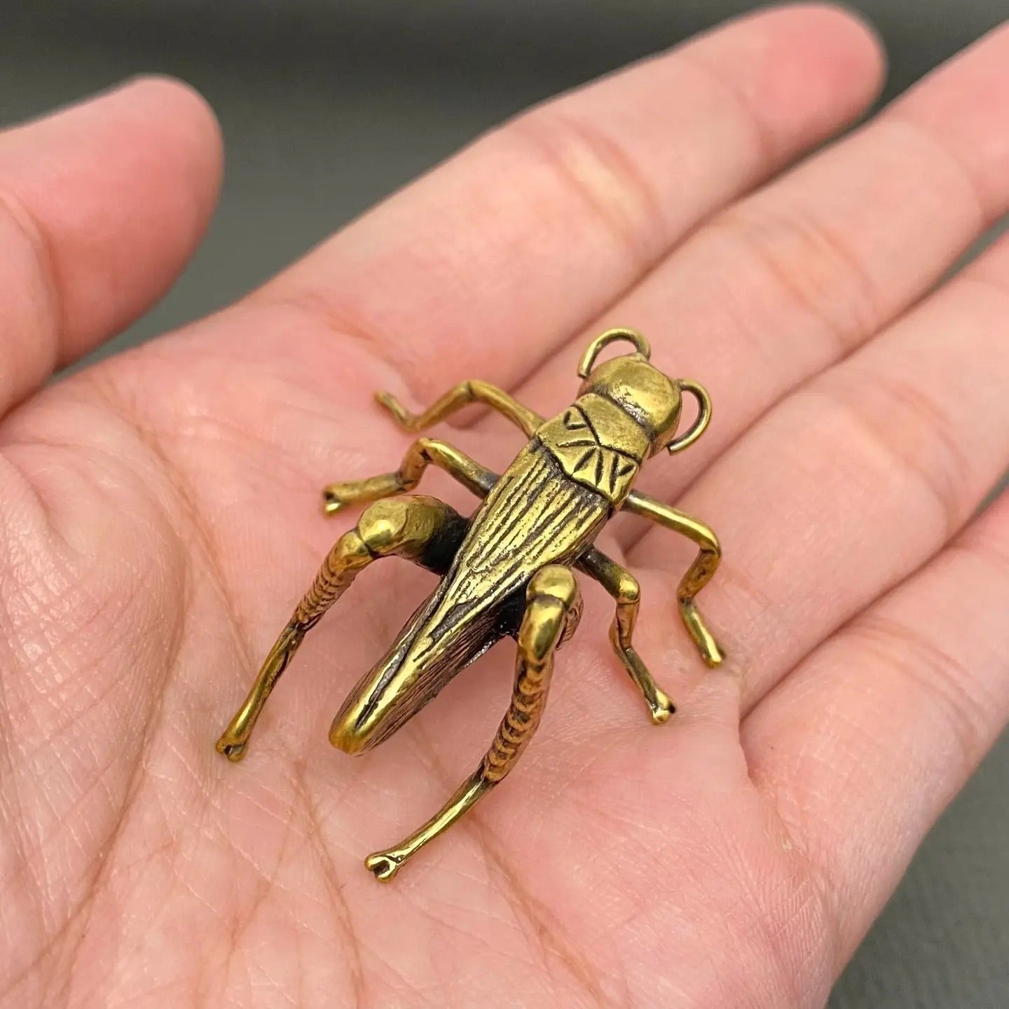 The Golden Messenger miniature brass cricket showing top-down view with antennae and wing detail against a neutral background