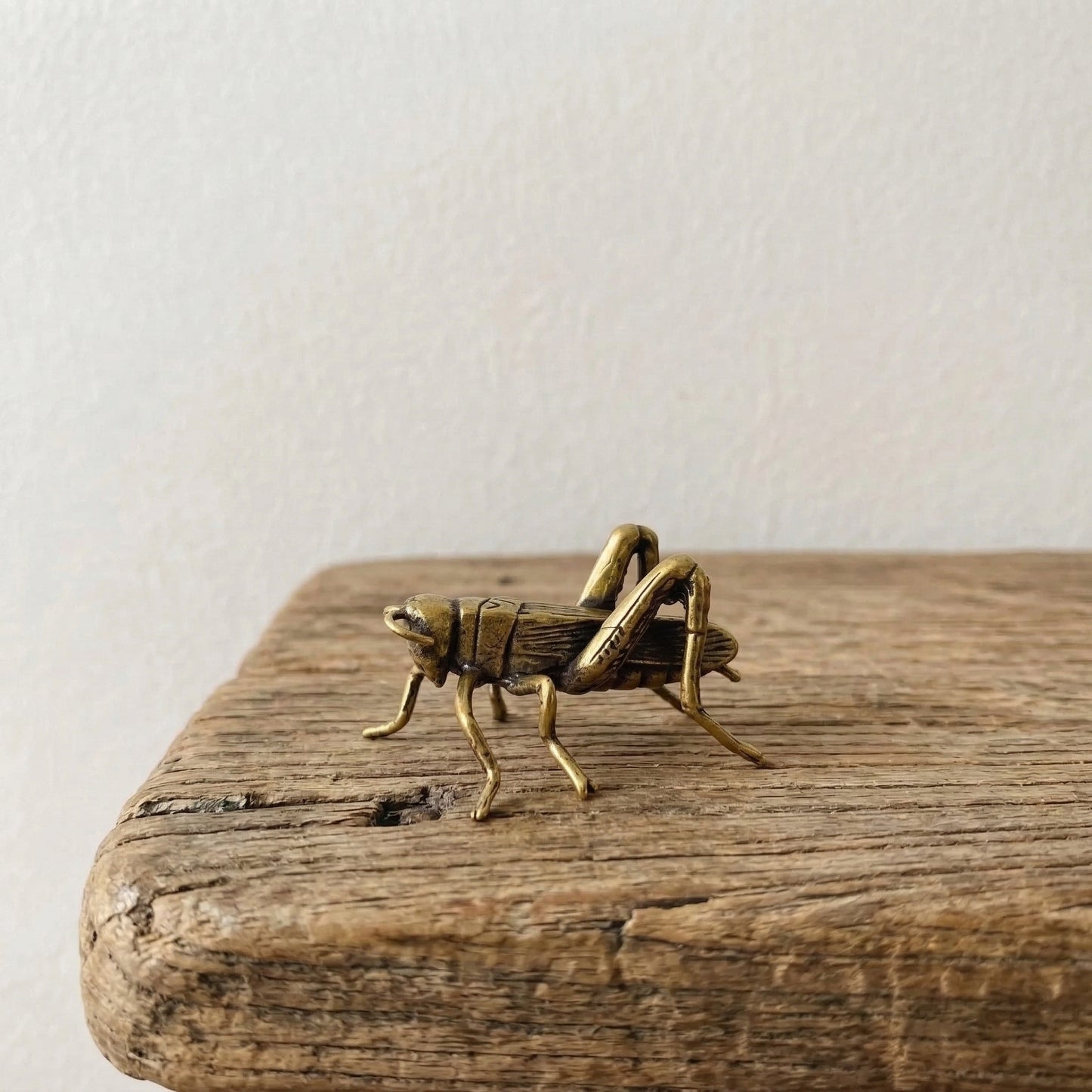 The Golden Messenger miniature brass cricket on a wooden surface, showing detailed legs and antennae with warm aged patina, from the WILLAGE Tiny Objects collection