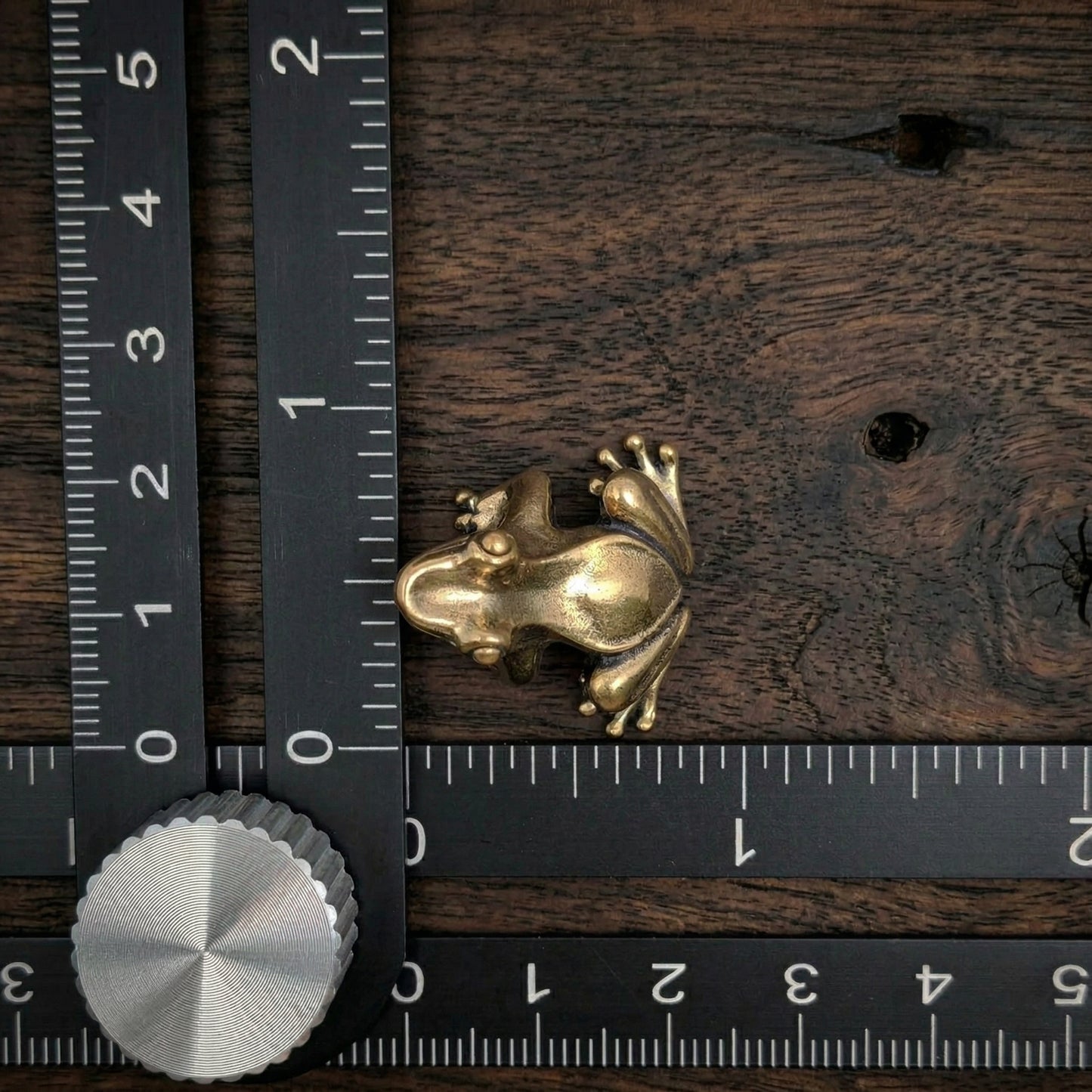 Miniature solid brass frog measured against ruler showing approximately 23mm size