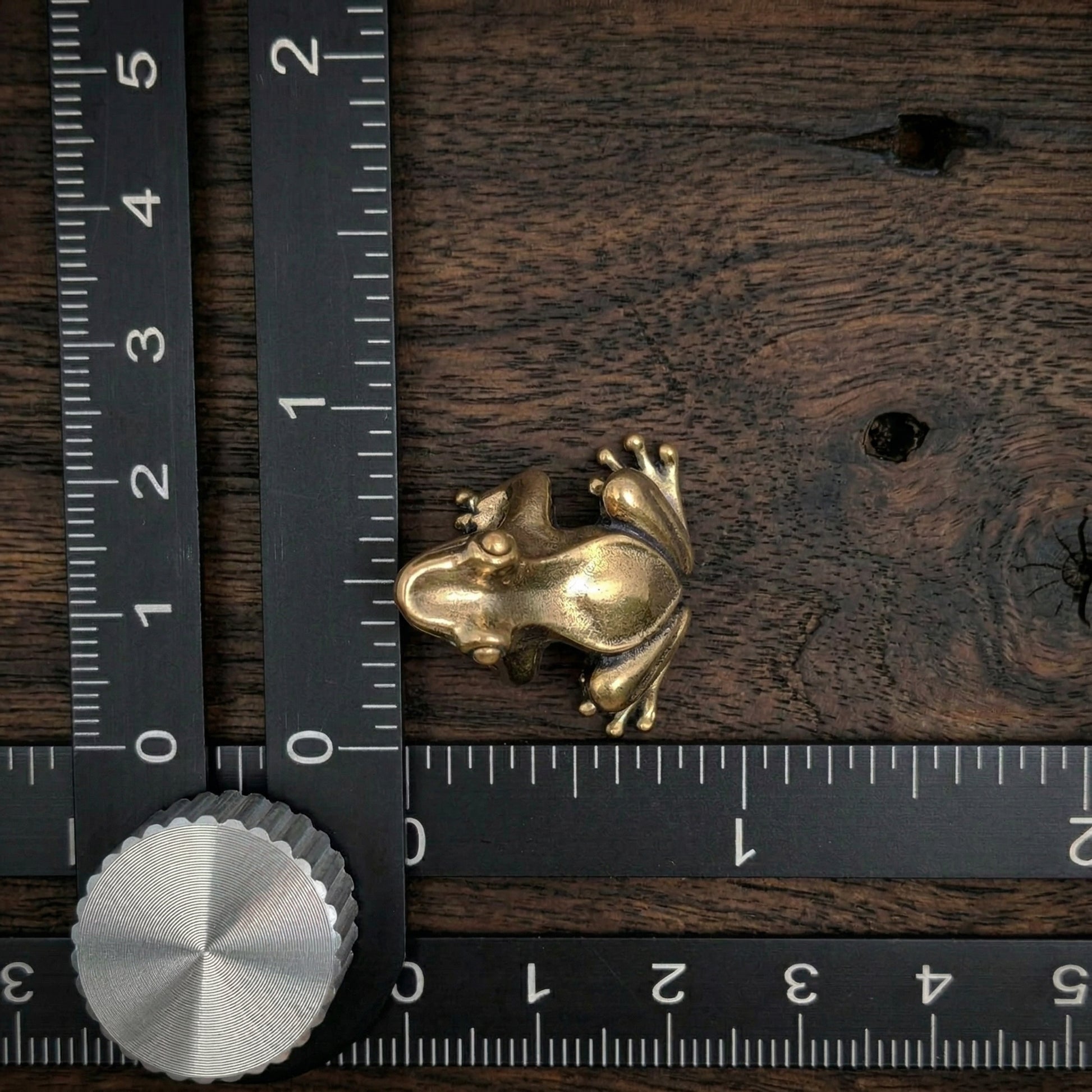 Miniature solid brass frog measured against ruler showing approximately 23mm size