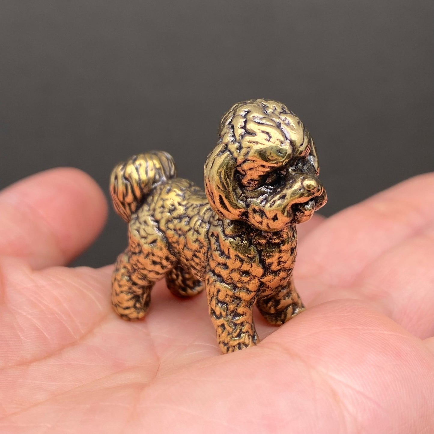 Miniature solid brass bichon frise figurine held in an open hand, showing its small scale and finely cast curly coat