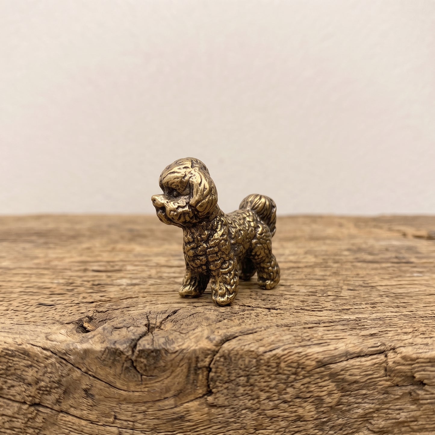 Solid brass bichon frise figurine with a curled coat and plumed tail, antique patina finish, standing on a weathered wood surface