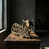 Nandi Keeper of Abundance Dhokra bull sculpture showing intricate lost-wax cast latticework and spiral surface detail, handcrafted in India, from WILLAGE