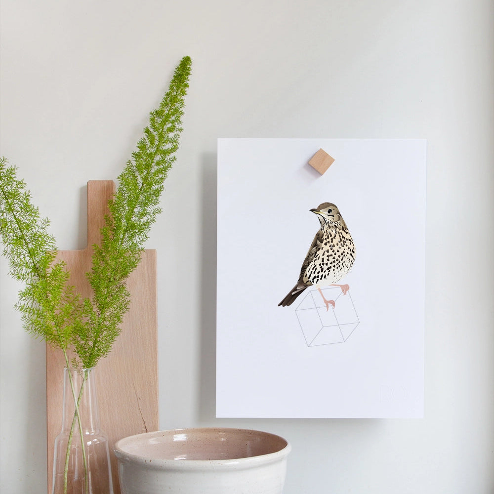  Magnetic beech wood wall holder gripping a bird art print on a white wall, held in place between two wooden blocks