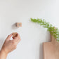  A bird print held on the wall by the beech magnetic holder, styled with a vase, ceramic bowl, and greenery