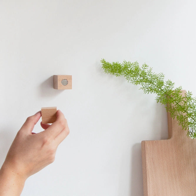  A bird print held on the wall by the beech magnetic holder, styled with a vase, ceramic bowl, and greenery