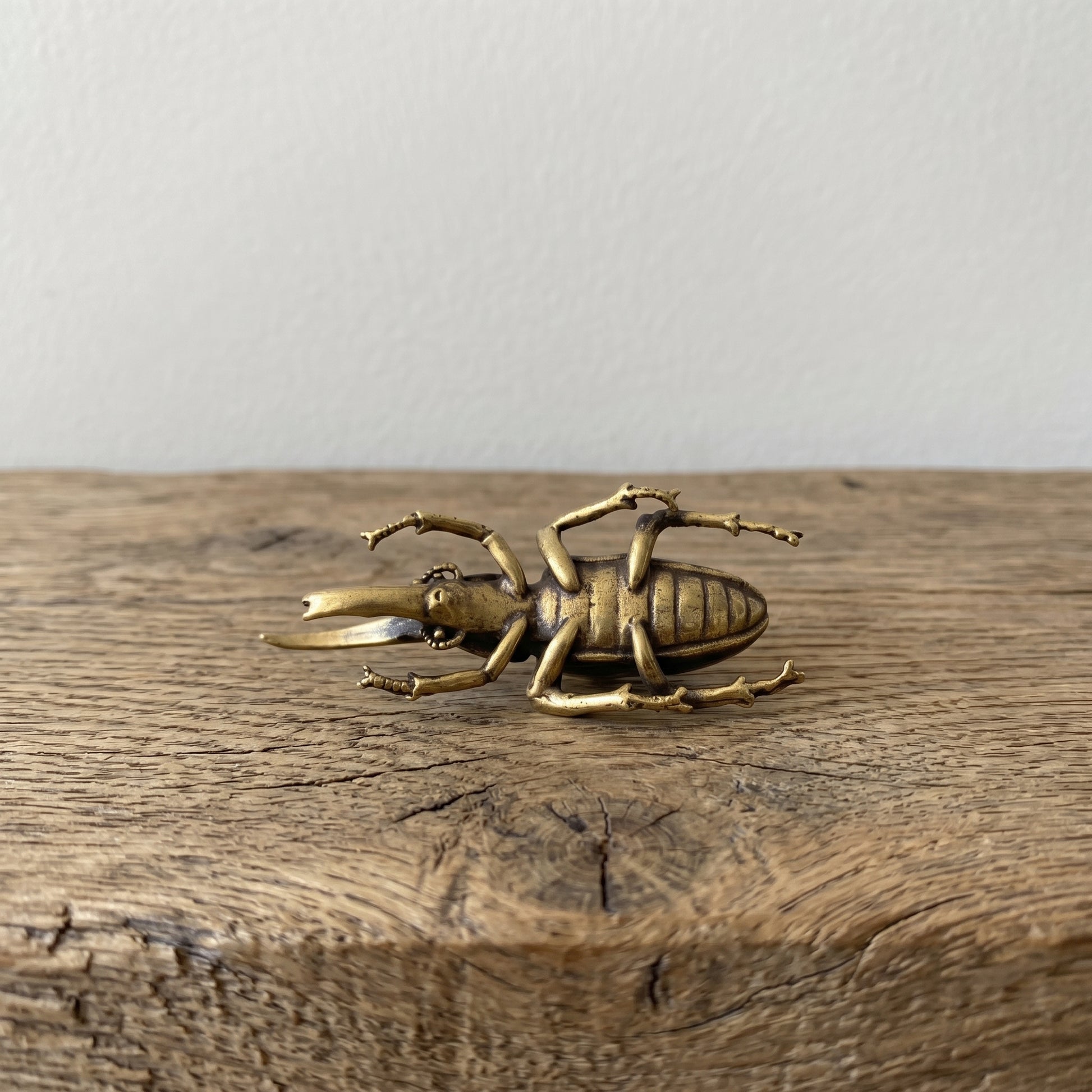Side view of The Powerhouse brass rhinoceros beetle showing the curved horn and detailed legs, antique patina