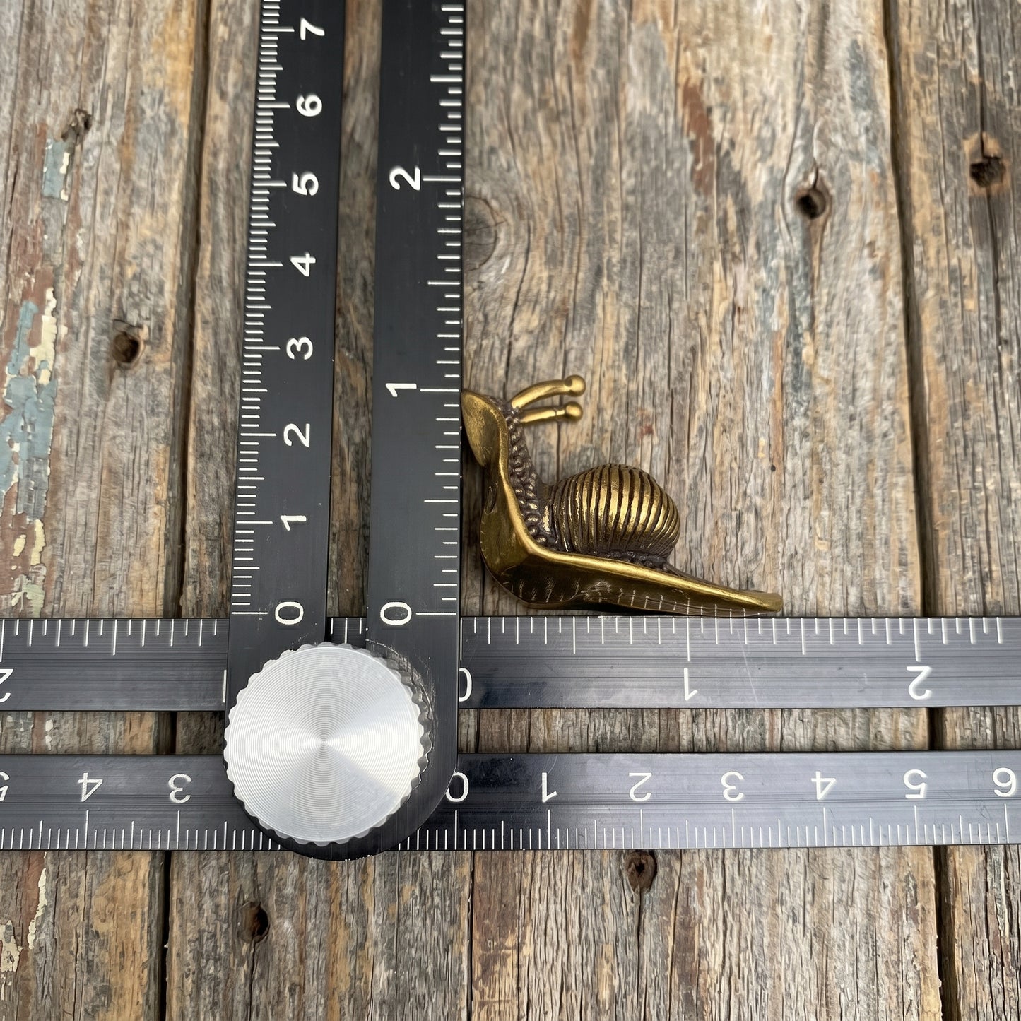 The Slow Path brass snail measured against a ruler showing approximately 35 mm long