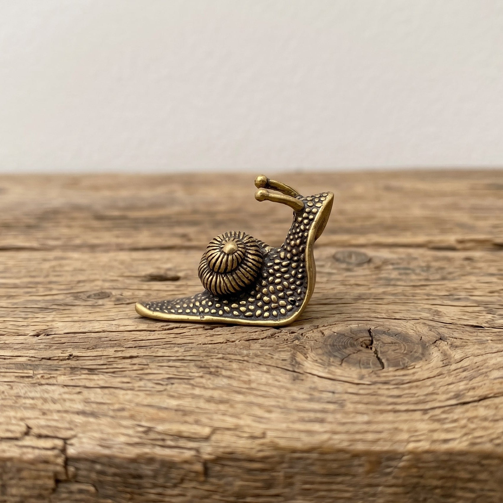 Side view of The Slow Path brass snail showing the coiled spiral shell and raised antennae, aged antique patina