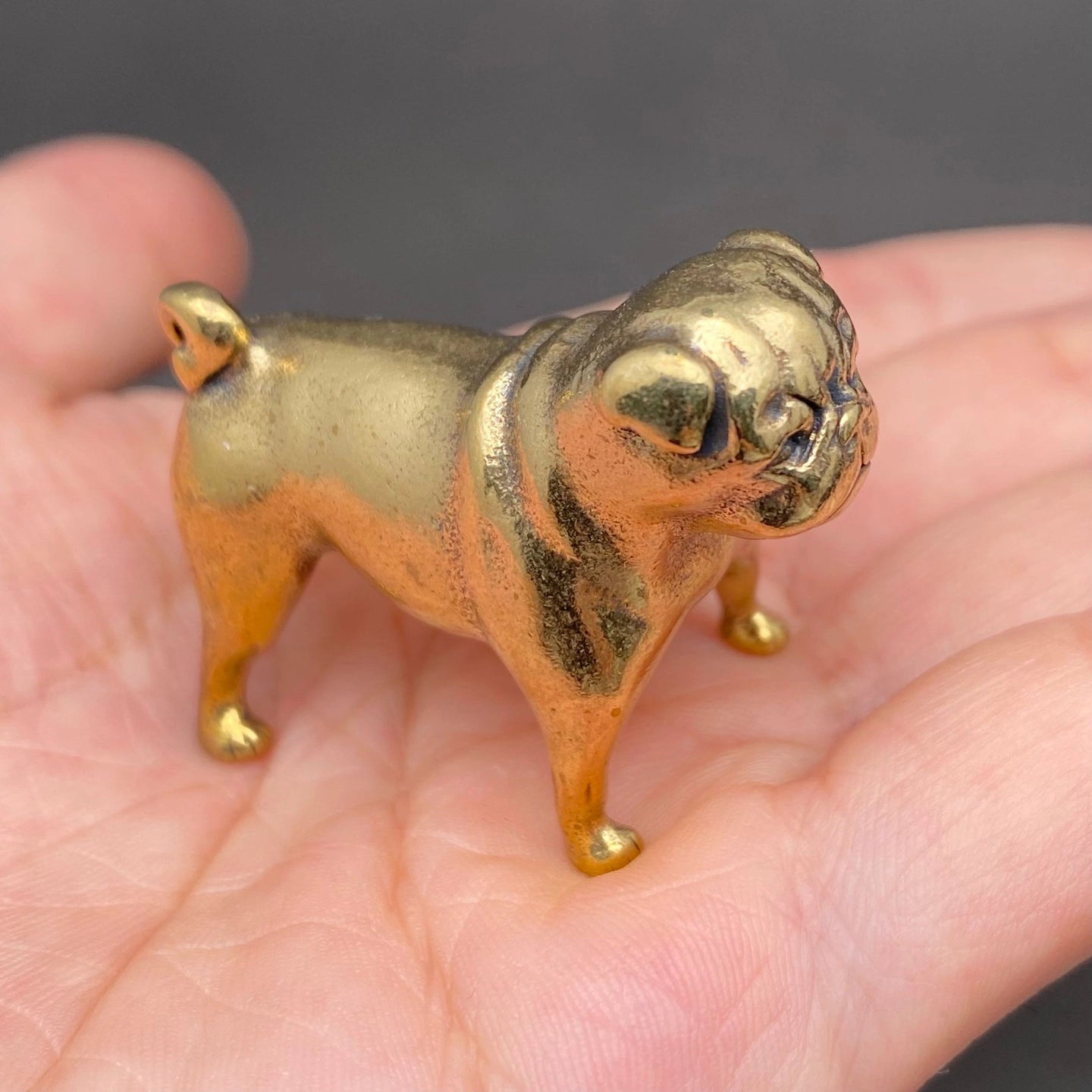 The Steadfast Companion miniature brass bulldog held in hand to show scale, with detailed face and golden patina