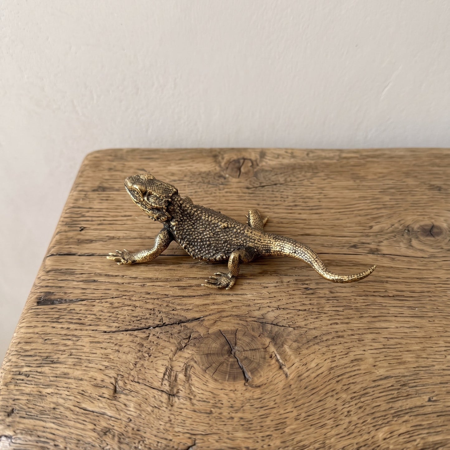 olid brass bearded dragon figurine with detailed scales and antique patina, photographed from above