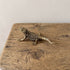 olid brass bearded dragon figurine with detailed scales and antique patina, photographed from above
