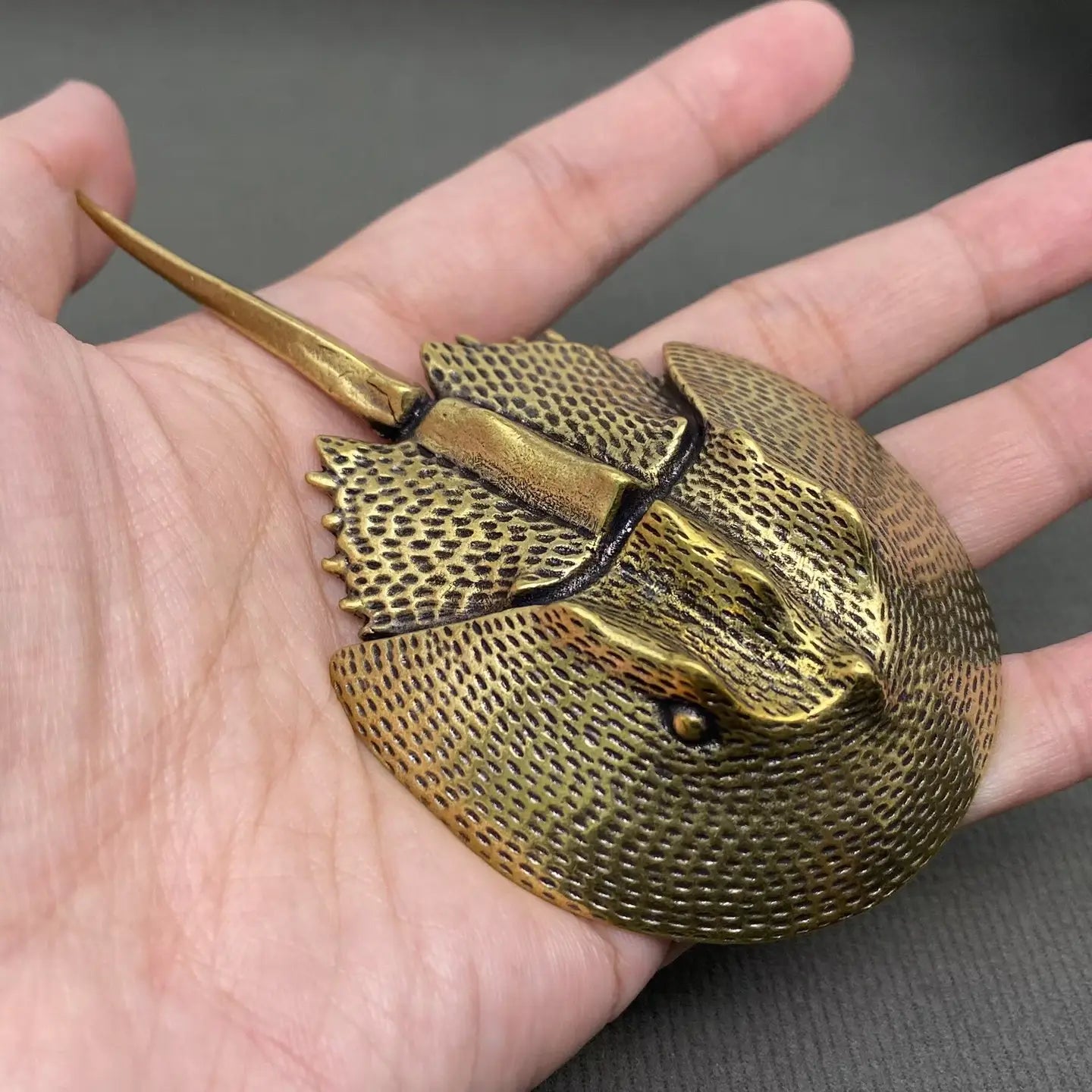 The Eternal Voyager | Brass Horseshoe Crab