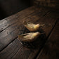 Two small birds in a nest on a wooden surface with a dark background