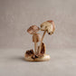 Detail of hand-carved wooden mushroom sculpture showing natural Jempinis parasite wood grain and wax finish, handcrafted in Indonesia
